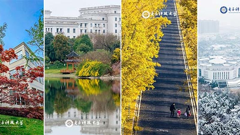 深圳芯片批发价格：揭秘芯片市场的价格构成